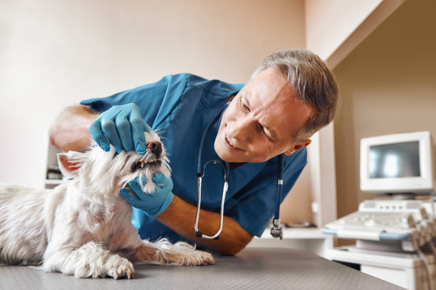 Best Emergency Tooth Extraction in Ahtanum, WA